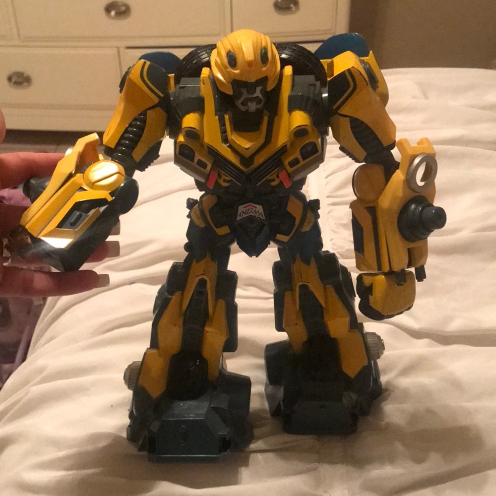 Toy